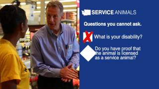 Service Animal Guide for Business Owners