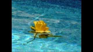 Andrea Bocelli   Mile lune mille onde