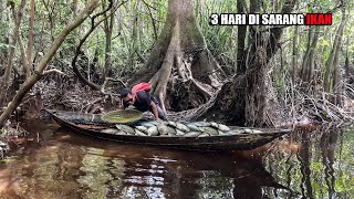 Download lagu 3 DAYS FISHING, LIFT 20 FISH TRAP, NETS & FISHING RODS IN KALIMANTAN FOREST😅 #bocahpecicilan mp3