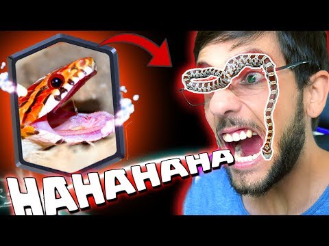 UMA COBRA INVADIU MINHA GUERRA DE CL