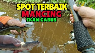 Download lagu A Great Trick for Finding Lesser-Known Spots for Snakehead Fishing mp3