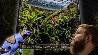 How to build a 110 Gallon Rainforest Ecosystem (Full Build)