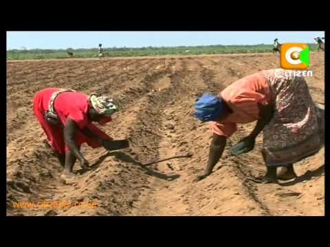 Farmers Speak Out On Food Security
