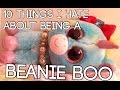 10 Things I Hate About Being A Beanie Boo