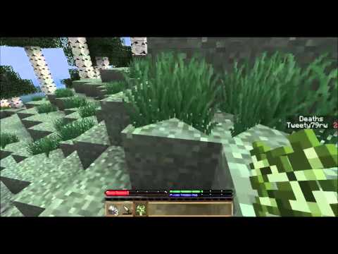 Tweety plays Terrafirmacraft ep 14 - 77.7 and coper colletion