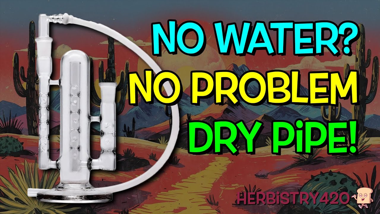 Cactus Dry Pipe Review — Budget Cooling Whip With Big Flavor