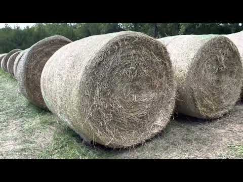With extreme hay prices, do this to preserve your investment in your stored hay bales.
