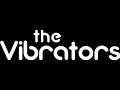The Vibrators - Live in London 1977 [Day II, Full Concert]