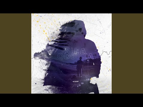 Zyski (feat. Pavlak)