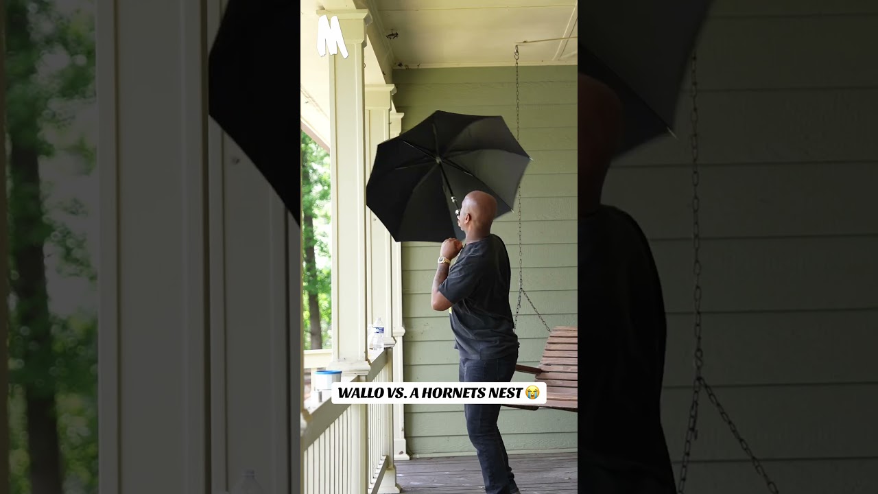 Wallo takes out a hornets nest at Camp Duval 😭