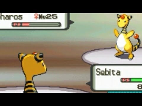 Ampharos Contra Ampharos - Pokémon Diamante Duallocke ep 19