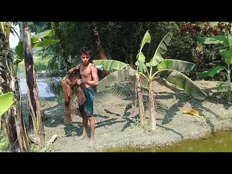 Most satisfying cast net  Fishing video-catch tons of fish-Net catch Fishing on River