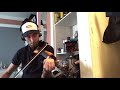 My Foolish Heart  Violin Cover By JazzSound