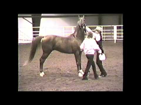 The Headliner in 1991 - Liberty Class