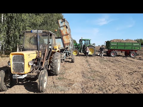 Wykopki z 80-letnią Babcią ☆Awaria Wspomagania w Ursusie ☆Siew Pszenicy z Markiem