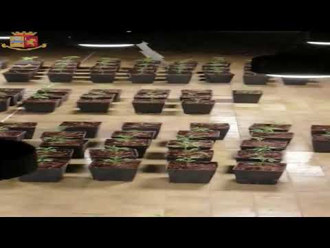 Operazione antidroga squadra mobile di Prato