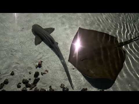 B Roll - Marissa Chavez Jour 147