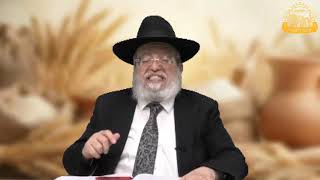 דף היומי בחצי שעה – מסכת מנחות דף ק’ב