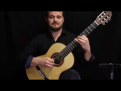 Matt Palmer plays Guitar Solo #3