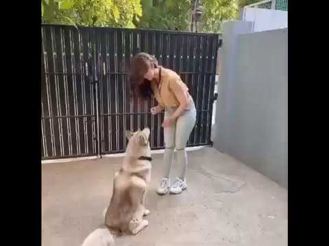 Pranitha Subhash having Fun with her Dog 👌