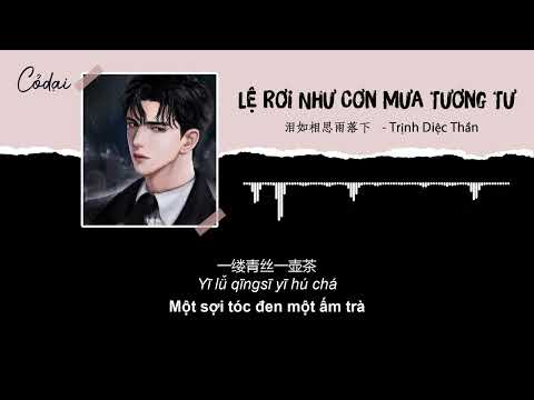 [Vietsub + Pinyin] Lệ Rơi Như Cơn Mưa Tương Tư / 泪如相思雨落下 - Trịnh Diệc Thần