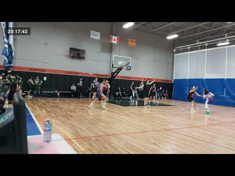 20250418 NWL 5v5 Game 2 Full - Devil vs Toronto Phoenix
