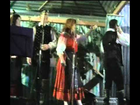 Ansambel Zupan LIVE Kössen 15.08.2008 (13)