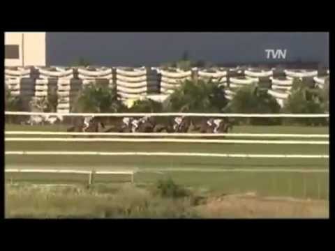 Black Caviar Win #13 BTC Cup G1 over 1200m at Doomben 14th May 2011
