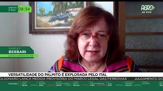 Miniatura do vídeo