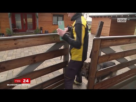 Als Post- und Paketbote auf dem Land