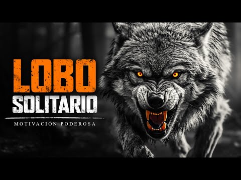 LOBO SOLITARIO - Discurso Motivacional Para Quienes Caminan Solos (Marcus Elevation Taylor)