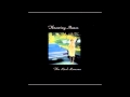Throwing Muses - "Not Too Soon"