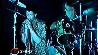 HERMAN BROOD live (3) @ Bospop (Lichtenberg, Weert, Netherlands) -- 1989