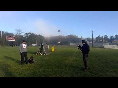 Willy De Lupus Saevus