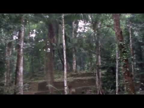 Howler Monkeys at Aguateca, rainforest pyramids of Guatemala