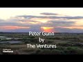 The Ventures - Peter Gunn