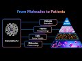 how will ai transform precision medicine – ava amini