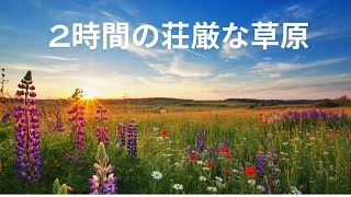2時間の荘厳な草原 – 認知症、アルツハイマー、介護者のための癒しの映像