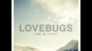 Who Needs Sleep Tonight?- Lovebugs
