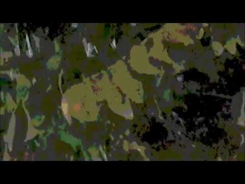 eathemory x odjutraniepale