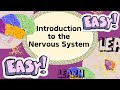 Live Lesson EASY Introduction To The Nervous System