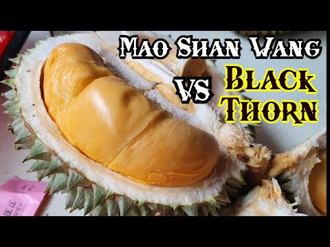 image-What is the best variety of durian?