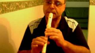 MARIYA TAKEUCHI - SYNCHRONICITY  played on recorder.flv