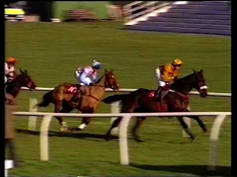 1994 Velka Pardubicka Grimthorpe Handicap Chase
