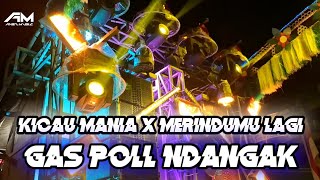 Download lagu DJ KICAU MANIA  X MERINDUMU LAGI VELOCITY HOREG  GAS POL NDANGAK NDANGAK mp3