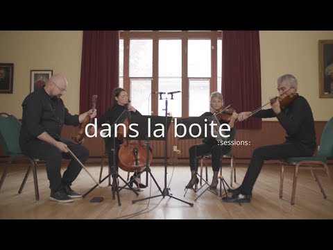 Les Sessions dans la boîte : Æ RØMESER (Last Leaf) - Par le Quatuor Crema