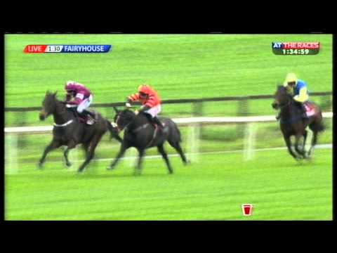 Hatton's Grace Hurdle, Fairyhouse, 30-11-14