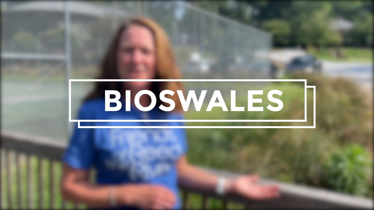 Bioswales | Friends of the Reedy River