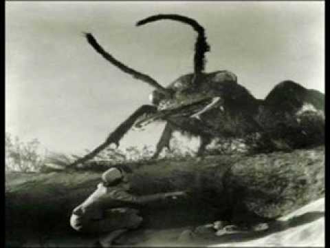 3y3b4ll - Secret Life Of Ants