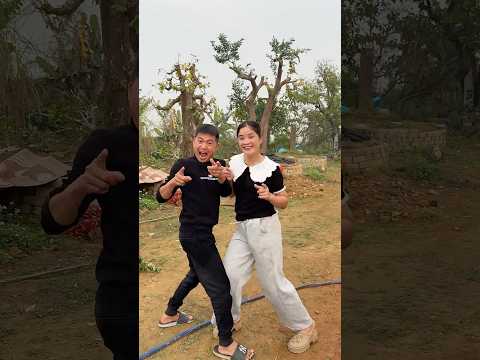 😹 The Silliest Cat Ever 🐱 | You Can’t Stop Laughing! #catlife #catmemes #viralcat